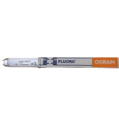 Neon fluorescente lineare fluora da 36W Osram L3677|Lunghezza: 1,20 m|Luce: Fluora|Coppolav.it: Fluorescenti lineari