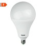 Beghelli 56862 Lampada LED E27 30W Luce fredda, 2500 Lumen, Resa 200W, 6500K, Goccia, Apertura luce 200 Gradi