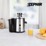 Zephir ZHC48 Centrifuga Professionale Acciaio, 450W, 2 Velocità + Pulse, Separa succo e polpa, Contenitore 500 ml