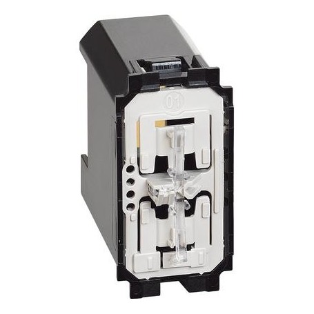 Comando tapparella Connesso Bticino Living Now K4027C, Senza Cover, 100-240V AC, 1 Modulo, MADE IN ITALY: Coppolav.it