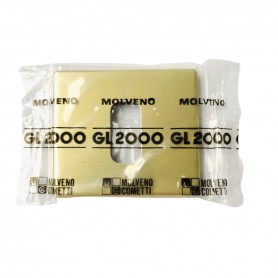 Molveno GL2000 1311.6 Placca 1 posto oro per scatole tonde, Serie Civili, MADE IN ITALY: Coppolav.it