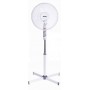 Ventilatore a piantana oscillante con pala da 40 cm e luce notturna Zephir PBA41P, 45W, 3 Velocità, Alto 133 cm: Coppolav.it